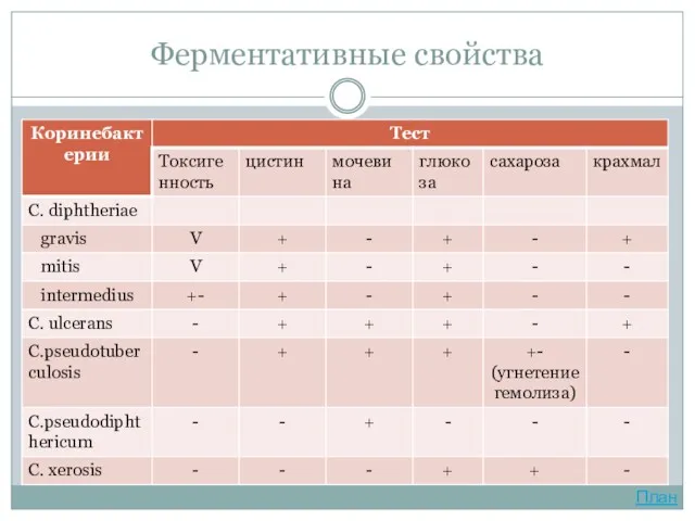 Ферментативные свойства План