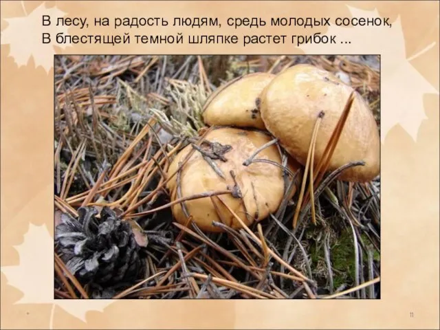 * В лесу, на радость людям, средь молодых сосенок, В блестящей темной шляпке растет грибок ...