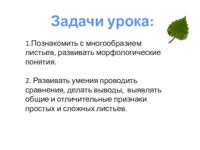 Задачи урока: 1.Познакомить с многообразием листьев, развивать морфологические понятия. 2.