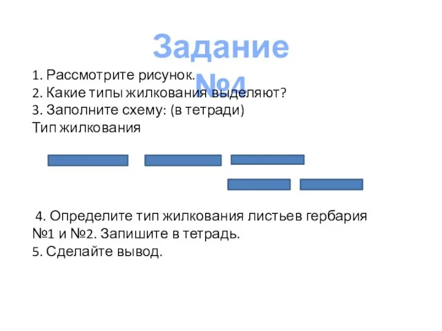 Задание №4 1. Рассмотрите рисунок. 2. Какие типы жилкования выделяют?