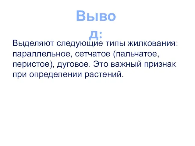 Вывод: Выделяют следующие типы жилкования: параллельное, сетчатое (пальчатое, перистое), дуговое. Это важный признак при определении растений.