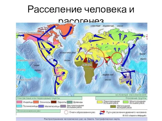 Расселение человека и расогенез