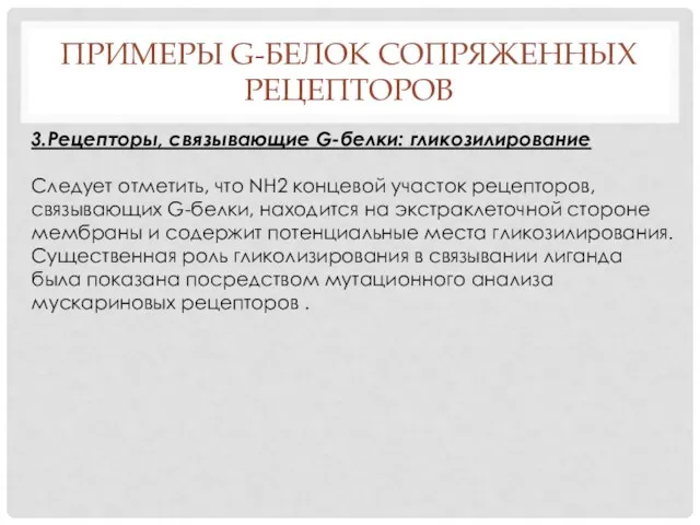 ПРИМЕРЫ G-БЕЛОК СОПРЯЖЕННЫХ РЕЦЕПТОРОВ 3.Рецепторы, связывающие G-белки: гликозилирование Следует отметить,