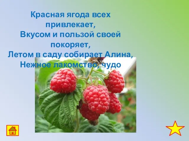 Красная ягода всех привлекает, Вкусом и пользой своей покоряет, Летом в саду собирает