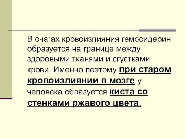 В очагах кровоизлияния гемосидерин образуется на границе между здоровыми тканями