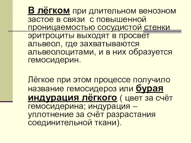 В лёгком при длительном венозном застое в связи с повышенной