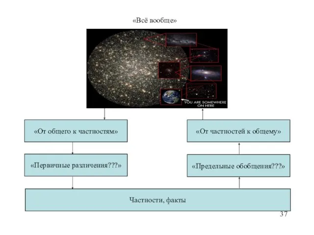 «Всё вообще» «От общего к частностям» «Первичные различения???» Частности, факты «Предельные обобщения???» «От частностей к общему»