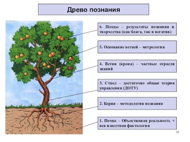 Древо познания 1. Почва – Объективная реальность + вся известная