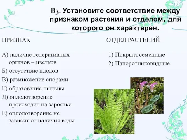 В3. Установите соответствие между признаком растения и отделом, для которого