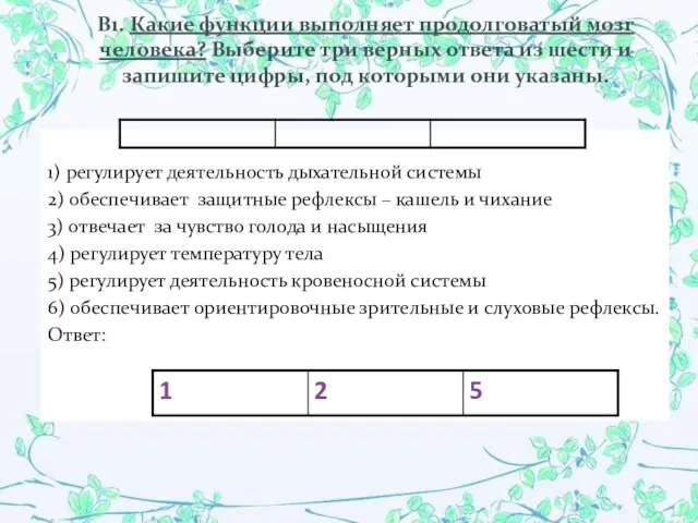 В1. Какие функции выполняет продолговатый мозг человека? Выберите три верных