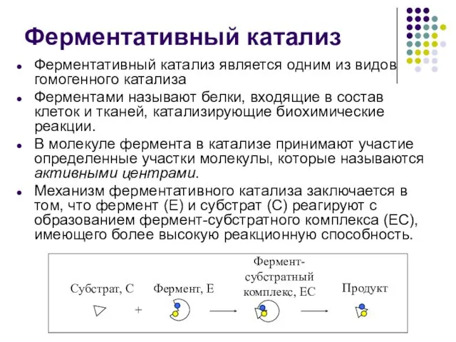 Ферментативный катализ Ферментативный катализ является одним из видов гомогенного катализа