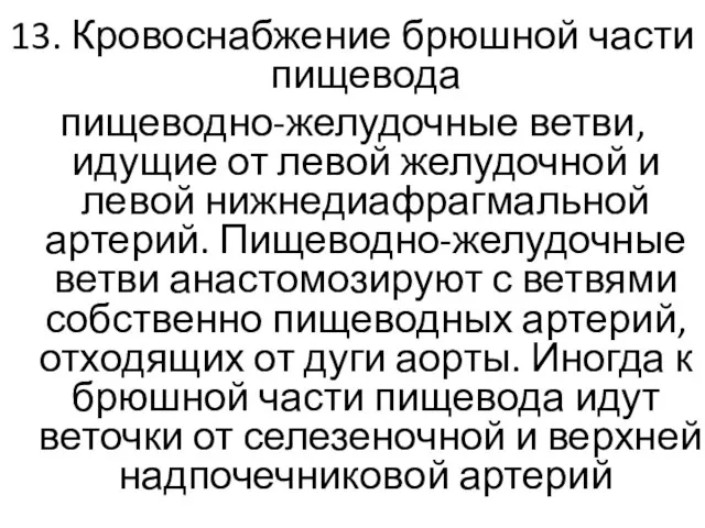 13. Кровоснабжение брюшной части пищевода пищеводно-желудочные ветви, идущие от левой