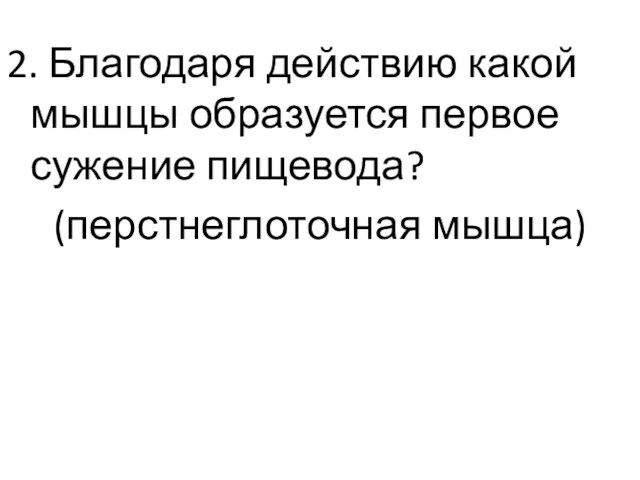 2. Благодаря действию какой мышцы образуется первое сужение пищевода? (перстнеглоточная мышца)