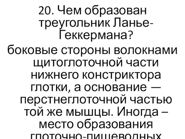 20. Чем образован треугольник Ланье-Геккермана? боковые стороны волокнами щитоглоточной части