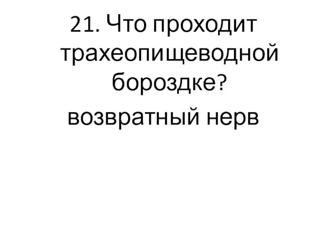 21. Что проходит трахеопищеводной бороздке? возвратный нерв