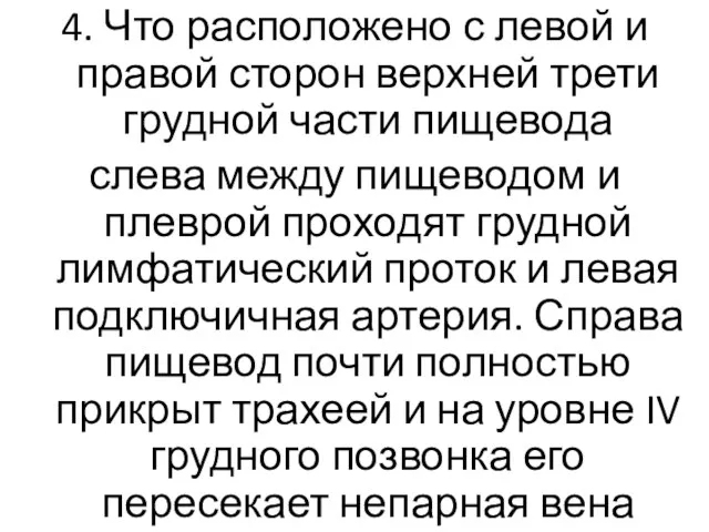 4. Что расположено с левой и правой сторон верхней трети