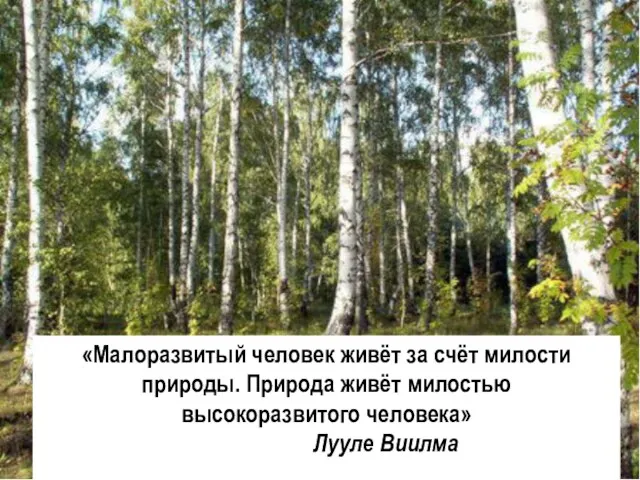 «Малоразвитый человек живёт за счёт милости природы. Природа живёт милостью высокоразвитого человека» Лууле Виилма