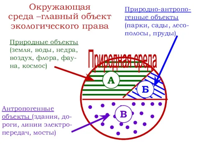 Окружающая среда –главный объект экологического права Природные объекты (земля, воды,