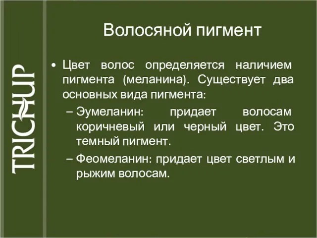 Волосяной пигмент Цвет волос определяется наличием пигмента (меланина). Существует два