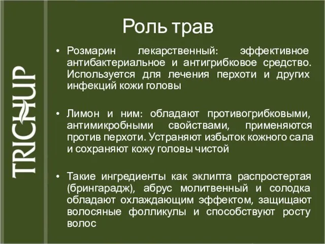 Роль трав Розмарин лекарственный: эффективное антибактериальное и антигрибковое средство. Используется