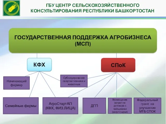 ГБУ ЦЕНТР СЕЛЬСКОХОЗЯЙСТВЕННОГО КОНСУЛЬТИРОВАНИЯ РЕСПУБЛИКИ БАШКОРТОСТАН ГОСУДАРСТВЕННАЯ ПОДДЕРЖКА АГРОБИЗНЕСА (МСП)