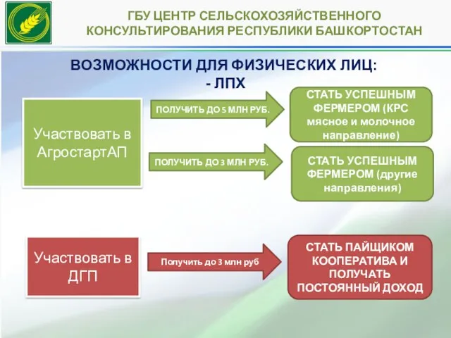 ГБУ ЦЕНТР СЕЛЬСКОХОЗЯЙСТВЕННОГО КОНСУЛЬТИРОВАНИЯ РЕСПУБЛИКИ БАШКОРТОСТАН ВОЗМОЖНОСТИ ДЛЯ ФИЗИЧЕСКИХ ЛИЦ: - ЛПХ ПОЛУЧИТЬ