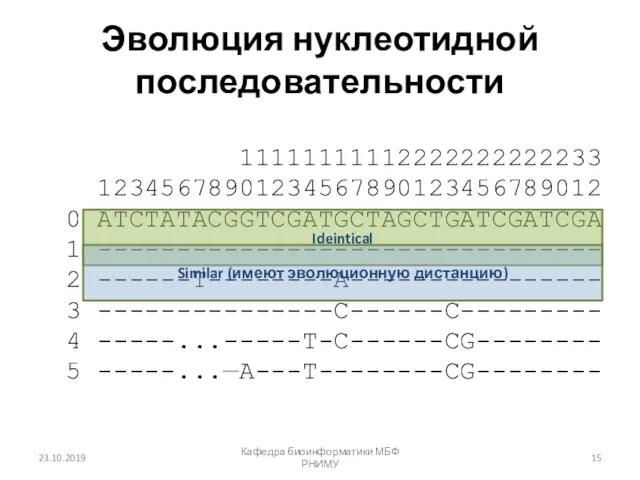 Эволюция нуклеотидной последовательности 11111111112222222222233 12345678901234567890123456789012 0 ATCTATACGGTCGATGCTAGCTGATCGATCGA 1 -------------------------------- 2