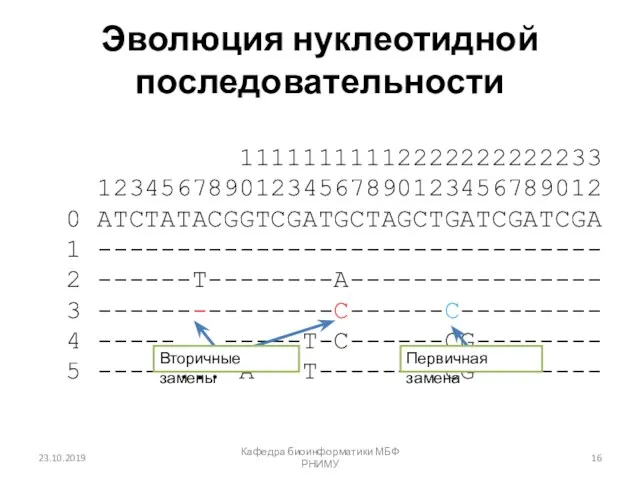 Эволюция нуклеотидной последовательности 11111111112222222222233 12345678901234567890123456789012 0 ATCTATACGGTCGATGCTAGCTGATCGATCGA 1 -------------------------------- 2