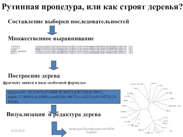 Рутинная процедура, или как строят деревья? Составление выборки последовательностей Множественное выравнивание Построение дерева