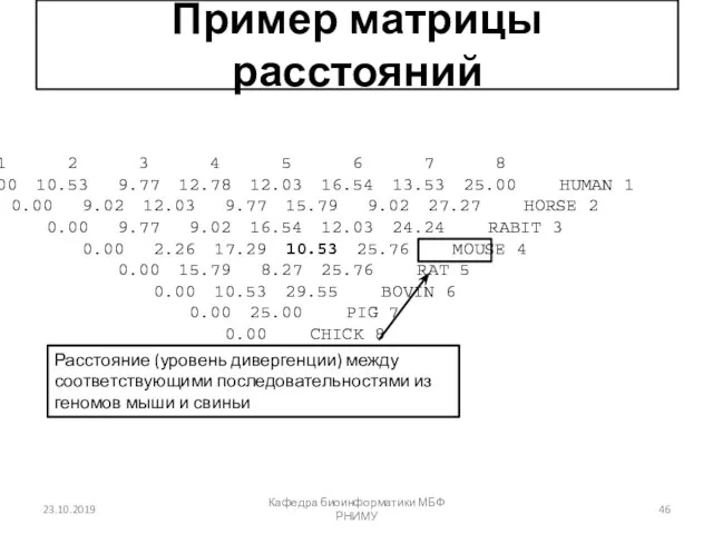 Пример матрицы расстояний 1 2 3 4 5 6 7 8 0.00 10.53