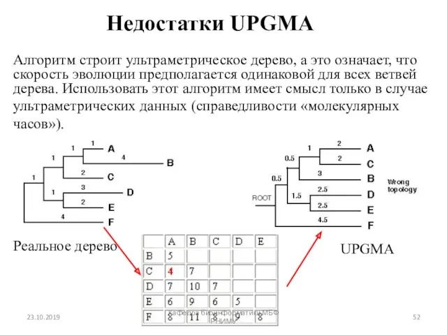 Недостатки UPGMA Алгоритм строит ультраметрическое дерево, а это означает, что скорость эволюции предполагается
