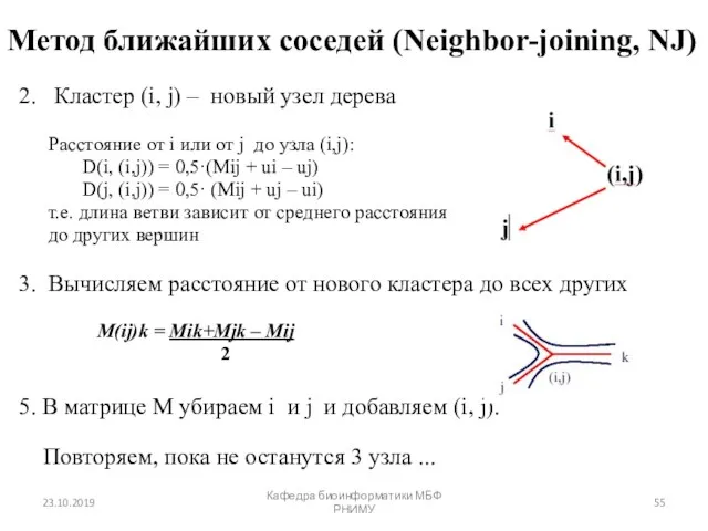 Метод ближайших соседей (Neighbor-joining, NJ) 2. Кластер (i, j) – новый узел дерева