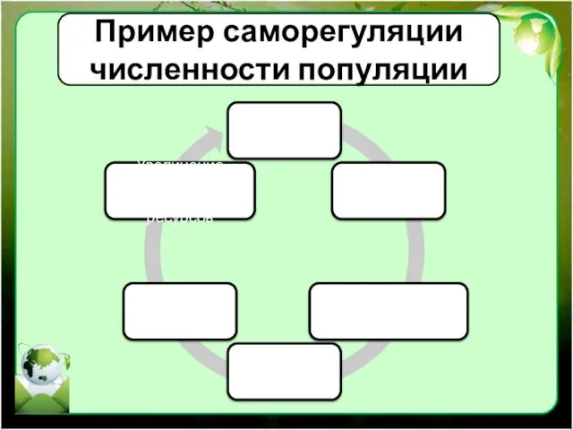 Пример саморегуляции численности популяции