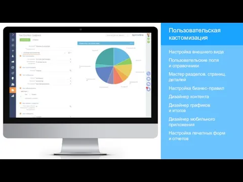 Пользовательская кастомизация Настройка внешнего вида Пользовательские поля и справочники Мастер