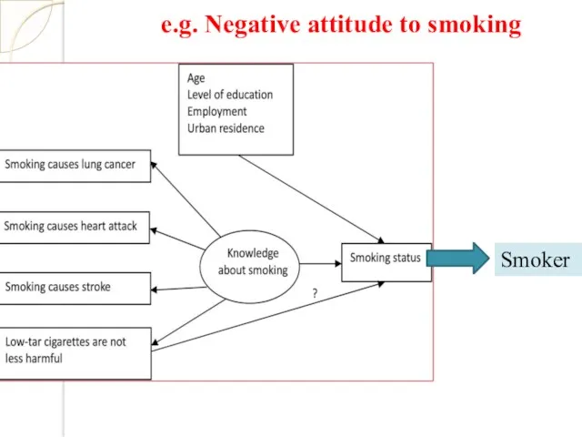 Smoker e.g. Negative attitude to smoking