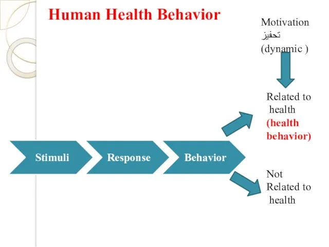 Human Health Behavior Related to health (health behavior) Not Related to health Motivation تحفيز (dynamic )
