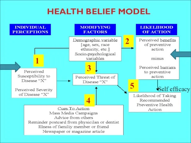 HEALTH BELIEF MODEL 1 2 3 4 5 Self efficacy