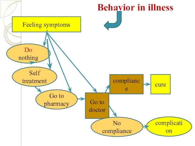 Behavior in illness Feeling symptoms Do nothing Go to pharmacy