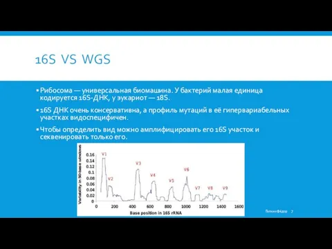 16S VS WGS Рибосома — универсальная биомашина. У бактерий малая единица кодируется 16S-ДНК,