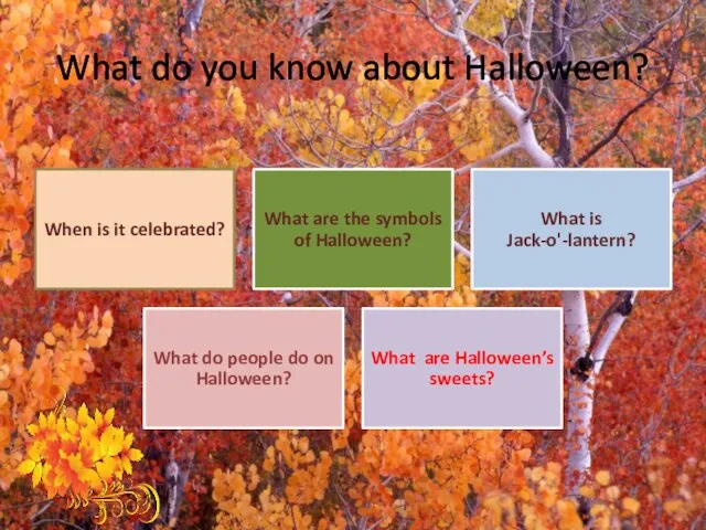 What do you know about Halloween?