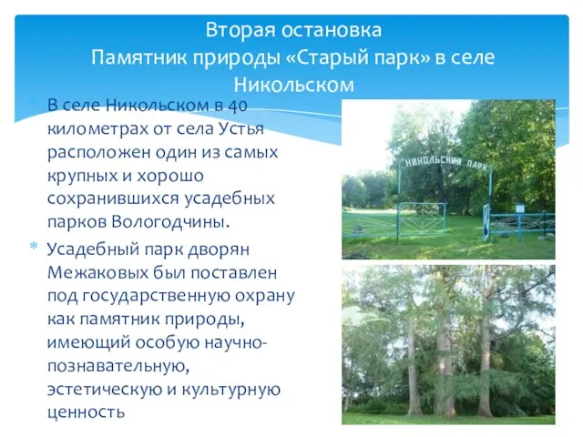 Вторая остановка Памятник природы «Старый парк» в селе Никольском В