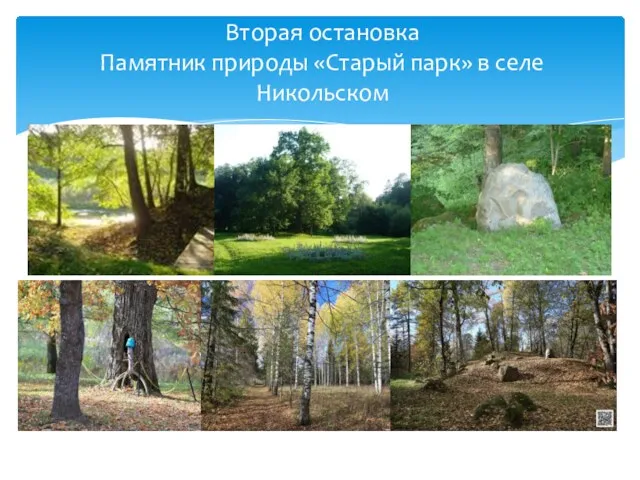 Вторая остановка Памятник природы «Старый парк» в селе Никольском