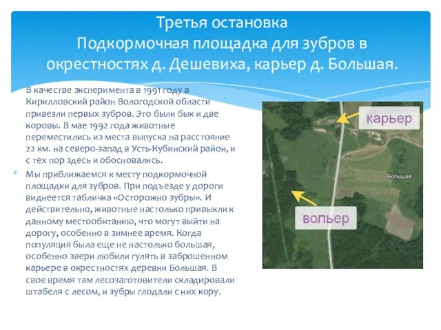 Третья остановка Подкормочная площадка для зубров в окрестностях д. Дешевиха, карьер д. Большая.