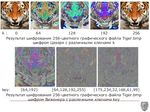 k : 0 64 128 192 256 Результат шифрования 256-цветного графического файла Tiger.bmp
