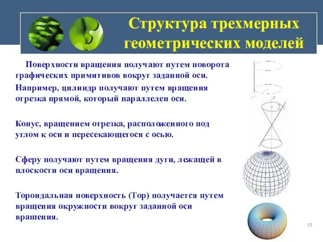 Структура трехмерных геометрических моделей Поверхности вращения получают путем поворота графических