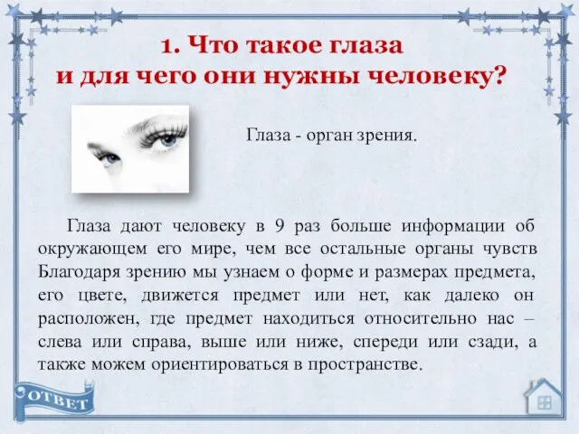 1. Что такое глаза и для чего они нужны человеку?