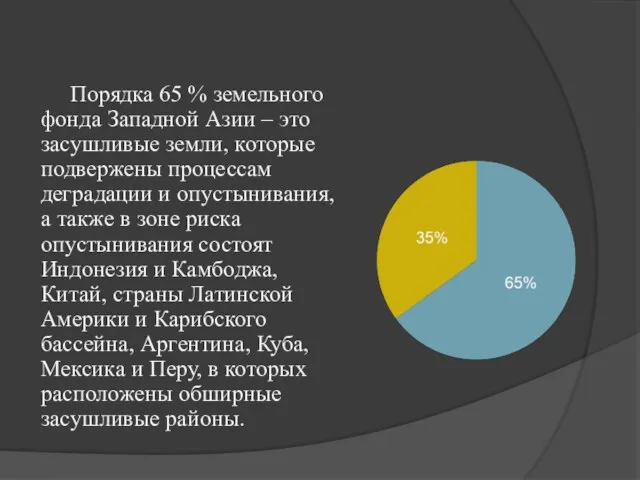 Порядка 65 % земельного фонда Западной Азии – это засушливые