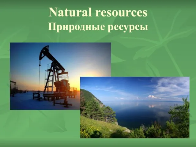 Natural resources Природные ресурсы