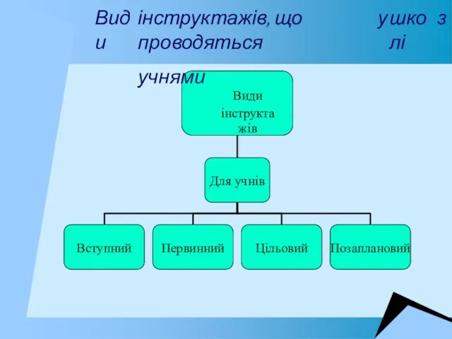 Види інструктажів, що проводяться учнями у школі з Види інструктажів Для учнів Вступний Первинний Цільовий Позаплановий