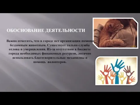 ОБОСНОВАНИЕ ДЕЯТЕЛЬНОСТИ Важно отметить, что в городе нет организации помощи